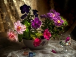 Still life - Petunia