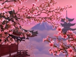 Sakura Scenery