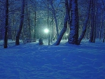 Blue winter night