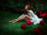 In a garden of red roses