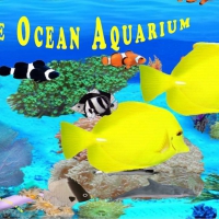Blue Ocean Aquarium