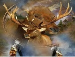 spirit of the elk