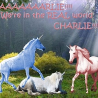 Charlie The Unicorn