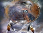spirit of the hawk