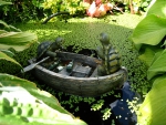 Turtles in the pond