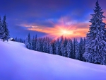 *** Beautiful Winter ***