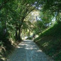 Road in the Sighisoara Fortress, Romania