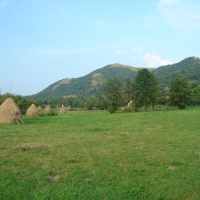Haystacks