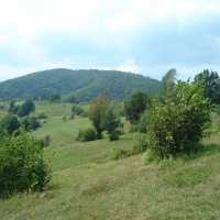 No automobiles up here