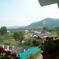 Quiet life in the country