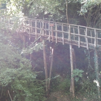 The suspended way in the forest