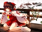 Hakurei Reimu Miko