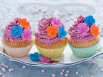 Sweet and colored cupcakes