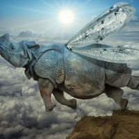 SEE..!!Everyone can fly...,all you got to do is TRY..!!