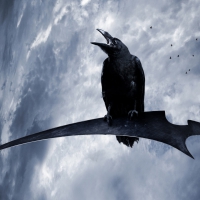Crow