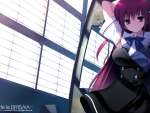 Grisaia no Kajitsu - Suou Amane