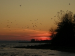 Lake Ontario, sunset, Rotary Park, Ajax