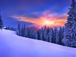 Winter sunset