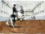 Lippizan Levade - Horse 1