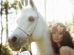 Beauty To Horse