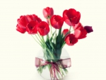 Red Tulips