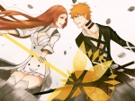 Ichigo VS Orihime