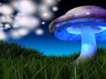 blue mushroom