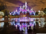 Sleeping beauty castle