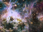 Tarantula Nebula
