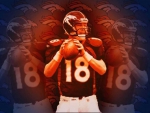 Peyton Manning