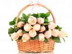 Basket of pink roses