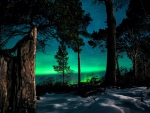 Northern Lights