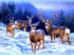 â˜…Reindeer Forest in Winterâ˜…