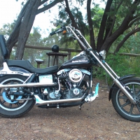 1982 FXE