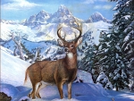 Buck In Winter