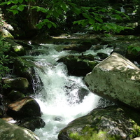 Mountain Waterfall Heaven