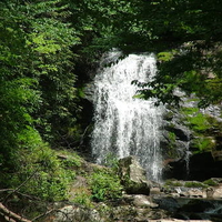 Great Smokey Mountains in Summer