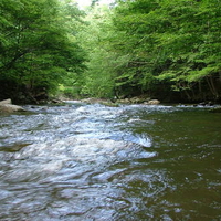 A Day in The Smokeys