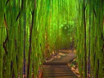 green bamboo forest