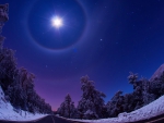 fabulous fish eye view of a winter night