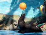 ~ Seal with Ball