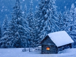 Wooden house in winter forest