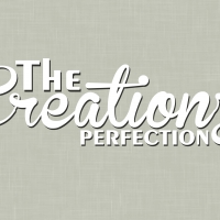 The Creationz Perfection