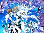 Tsubasa Chronicle