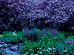 Purple Garden