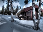 Winter Cabin