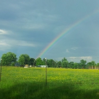 Rainbow in field