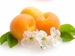 Apricots