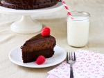 Chocolate Cake with Milk