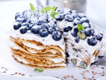 Blueberry Cake